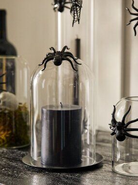 West Elm Glass Spider Cloche Candleholder